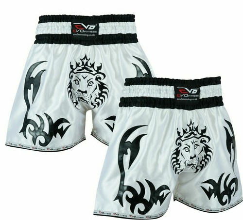 Evo kick boxing muay - boxing, cage