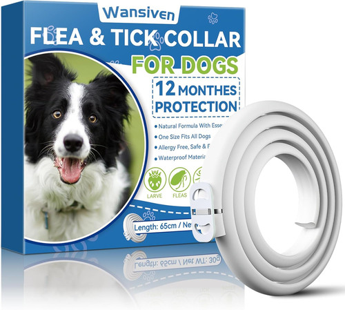 Collare antipulci per cani - collare,