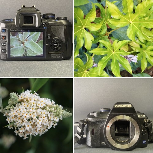 Olympus 420 megapixel - 10,