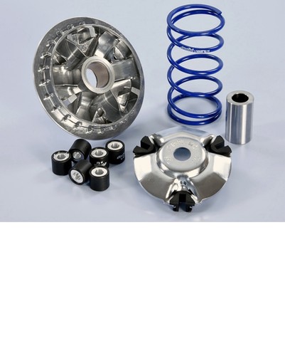 241 761 variatore - 241.761, polini