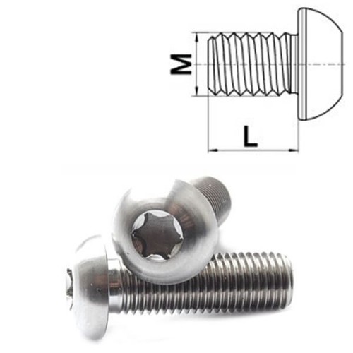 Vite titanio x 1 0 - titanio, m8