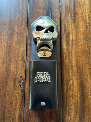 Raro magnete apribottiglie - magnete,