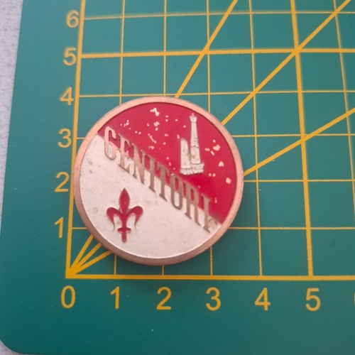 Pin distintivo spilla genitori - distintivo,