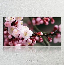 Ciliegio QUADRO MODERNO STAMPA