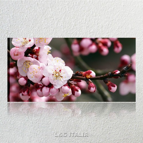 Ciliegio quadro moderno - ciliegio,