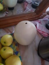 Gusci d'uova di struzzo