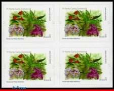 3362 BRASILE 2017 FIORI DELLA