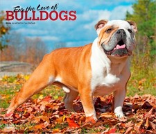 Per l'amore dei Bulldog |