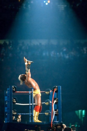 Wwe giant x36 - wwe,