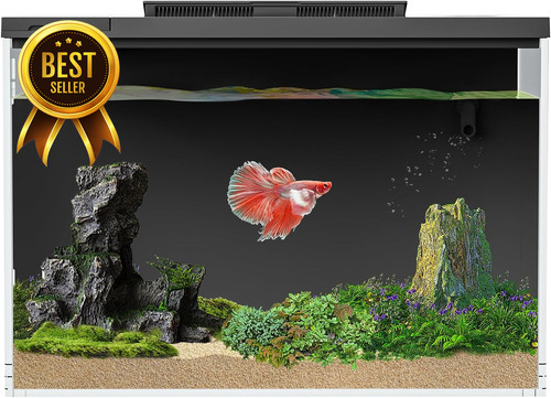 Serbatoio pesci smart betta - smart, 4