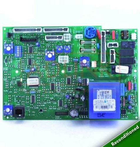 Ariston microgenus - ariston,