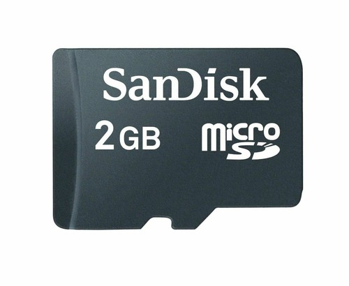 Memoria micro sandisk 2gb - memoria,