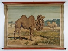 ANTONIO VALLARDI EDITORE -