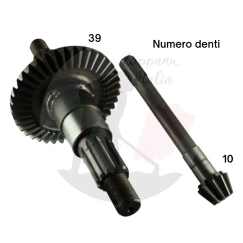 Goldoni coppia conica pignone - coppia,