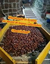 4_KG  CASTAGNE E MARRONI MIX ORIGINALI , DEL_CUORE  CALIBRO MEDIO_PICCOLO_ 2025