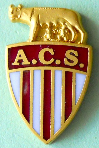 Distintivo spilla pin badge - spilla,