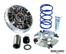 241.741 VARIATORE POLINI