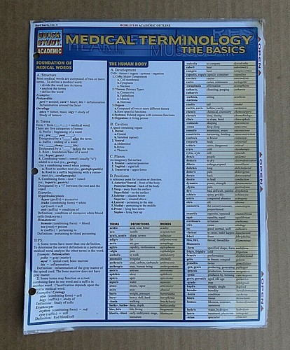 Tabella anatomica - tabella,