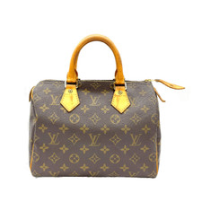 Borsa a mano Louis Vuitton