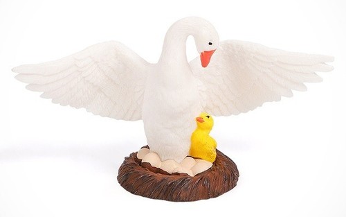 Cigno uccellino animale