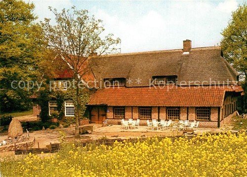 Lievelde museum erve kots - kots, en
