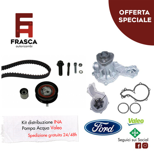 Kit distribuzione ina pompa - kit,