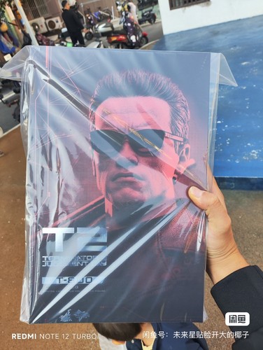 Hot toys mms795 terminator - toys,