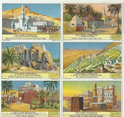 1307 liebig nell - /, arabia