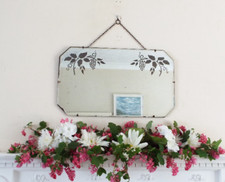 Vite Incisa Vintage Antica