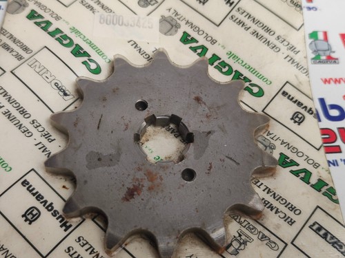 Pignone denti nuovo - denti,