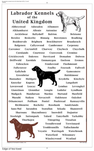 Asciugamano tè labrador - da,