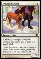 MTG 4x TRAINED CARACAL - LINCE ADDESTRATA - RTR - MAGIC