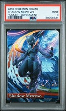 Pokemon SHADOW MEWTWO POKKEN