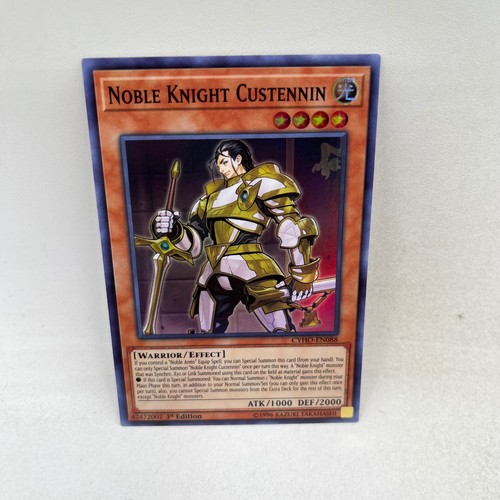 Nobile cavaliere custennin - cavaliere,