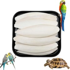 Ossi Di Seppia Naturali, 10 Pezzis Osso Di Seppia per Tartarughe Pappagalli, Gio