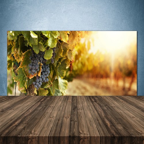Paraschizzi cucina 140x70 - paraschizzi,