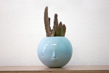 Yoskay Yamamoto pothead