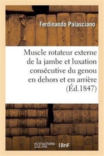 Palasciano muscle rotateur - palasciano-f,