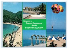 Beach Parasailing Waterfront