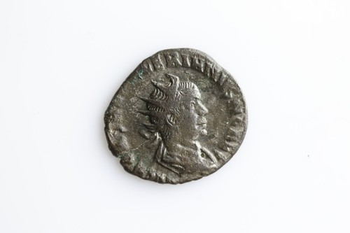 Salonino antoniniano - ae,
