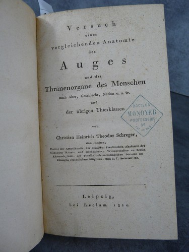 Auges thränenorgane menschen - auges,