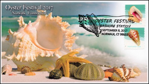 276 2017 oyster festival - 2017,,