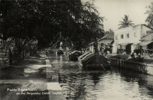 Cpa ceylon sri - cpa,