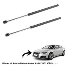 2  MOLLE A GAS PISTONCINI