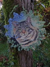 Maine Coon, Dipinto a mano