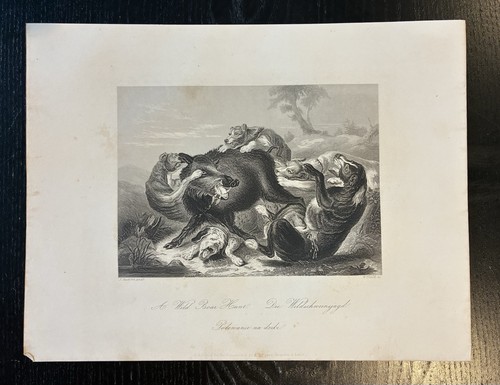 1850 wild boar - hunt, jacobsz