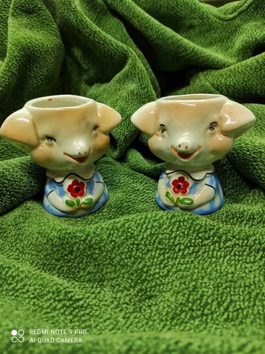 Coppia maialini ceramica - coppia,