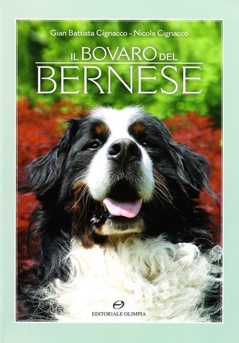 Bovaro bernese nicola - il,