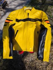 Giubbotto In Pelle Dainese
