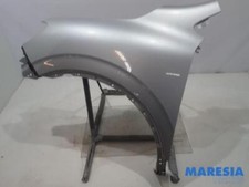 Parafango anteriore sinistro